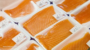 Editorial-Use-Packaged-Salmon-Store